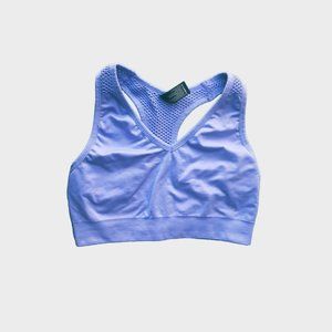 Velocity Purple/Blue workout bra